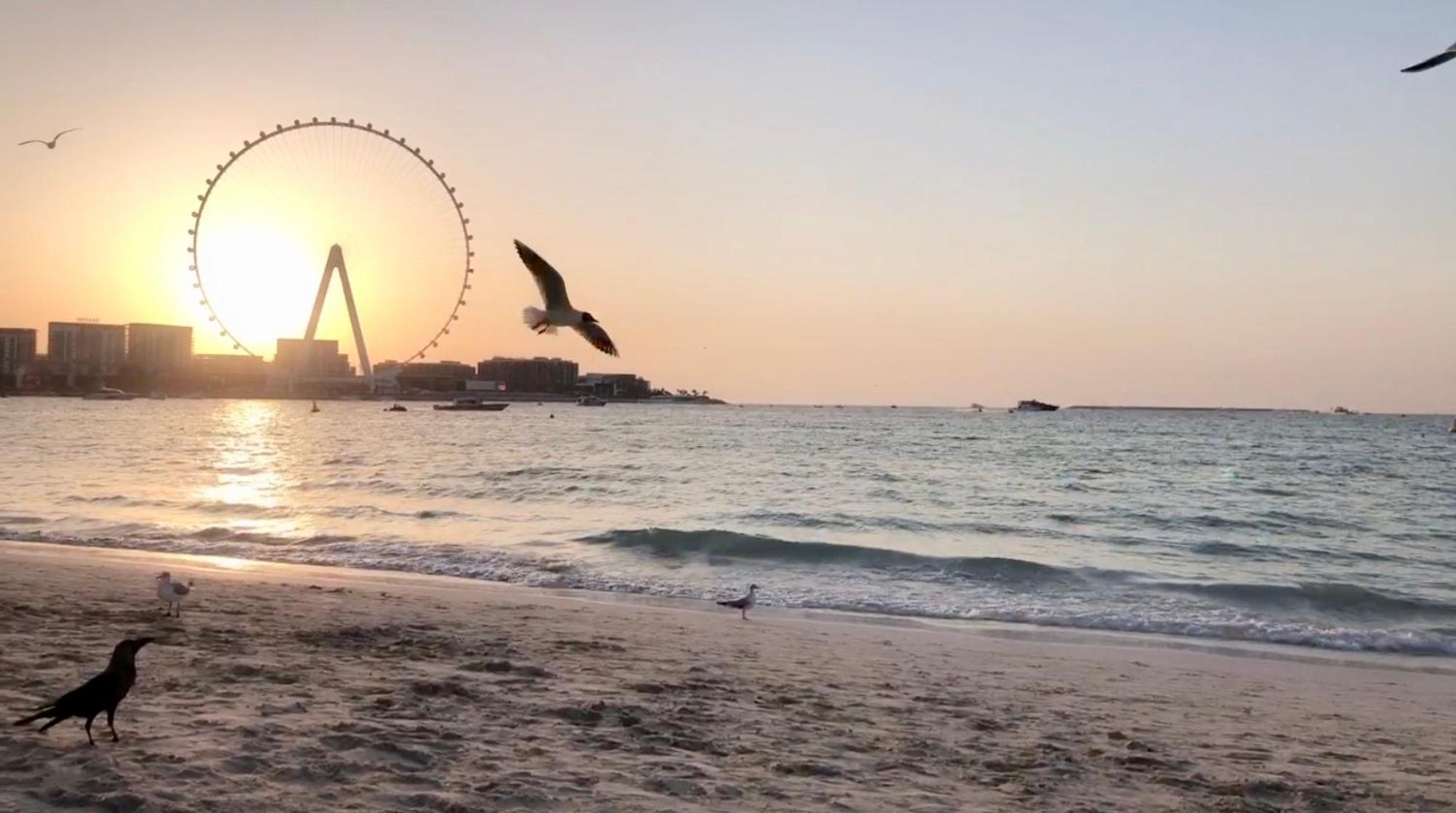 Jbr Beachfront Luxe Apartment All Rooms Sea Facing دبي المظهر الخارجي الصورة
